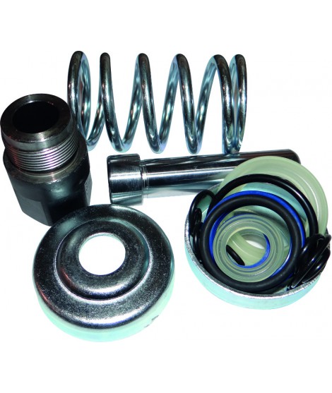 PISTON POMPE COMPLET TRANSPALETTE 160.0200 KS